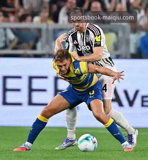 天才陨落与战术博弈：帕尼切利伤退 vs 阿根廷世界杯前景的深度分析